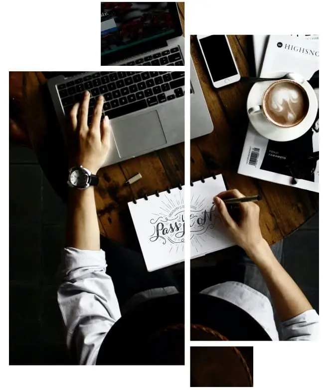 Webseiten Erstellung Dithmarschen (WordPress Web Design)